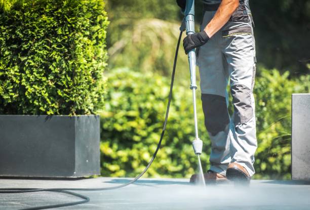 Best Paint Preparation  in Blandon, PA